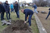 Sprawdź gdzie możesz posadzić drzewo w Częstochowie