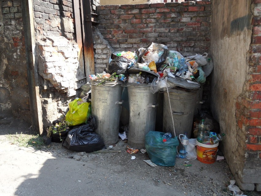 Przepełnione pojemniki na śmieci przy ul. Barlickiego 20