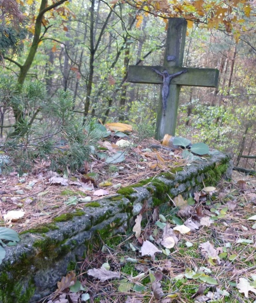Zapomniany cmentarz ewangelicki koło Świątkowic