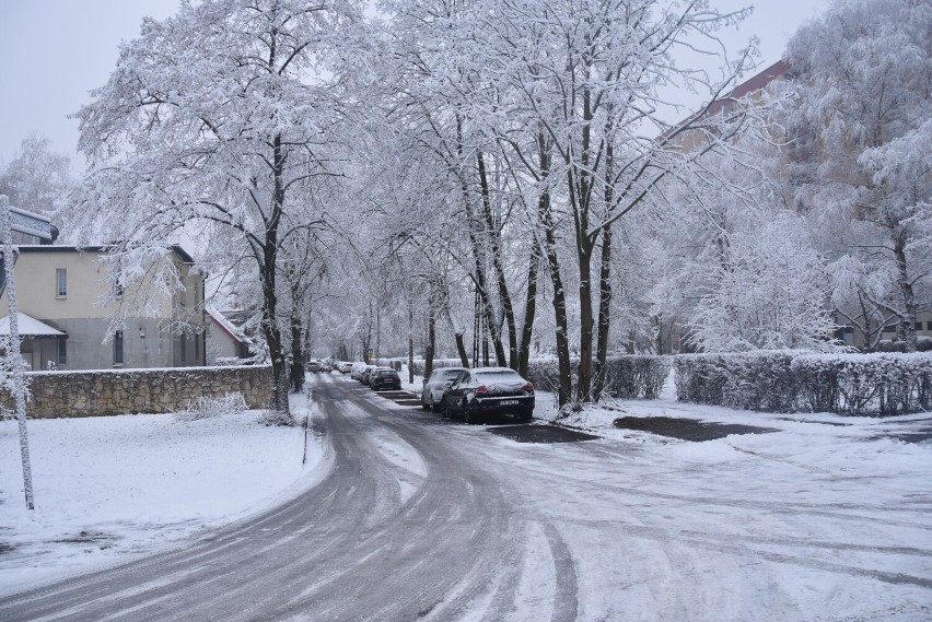 Piątkowy poranek przywitał mieszkańców śniegiem i lekkim...