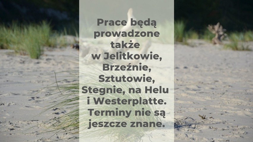 Od czerwca do września 2019 na niektórych nadbałtyckich...