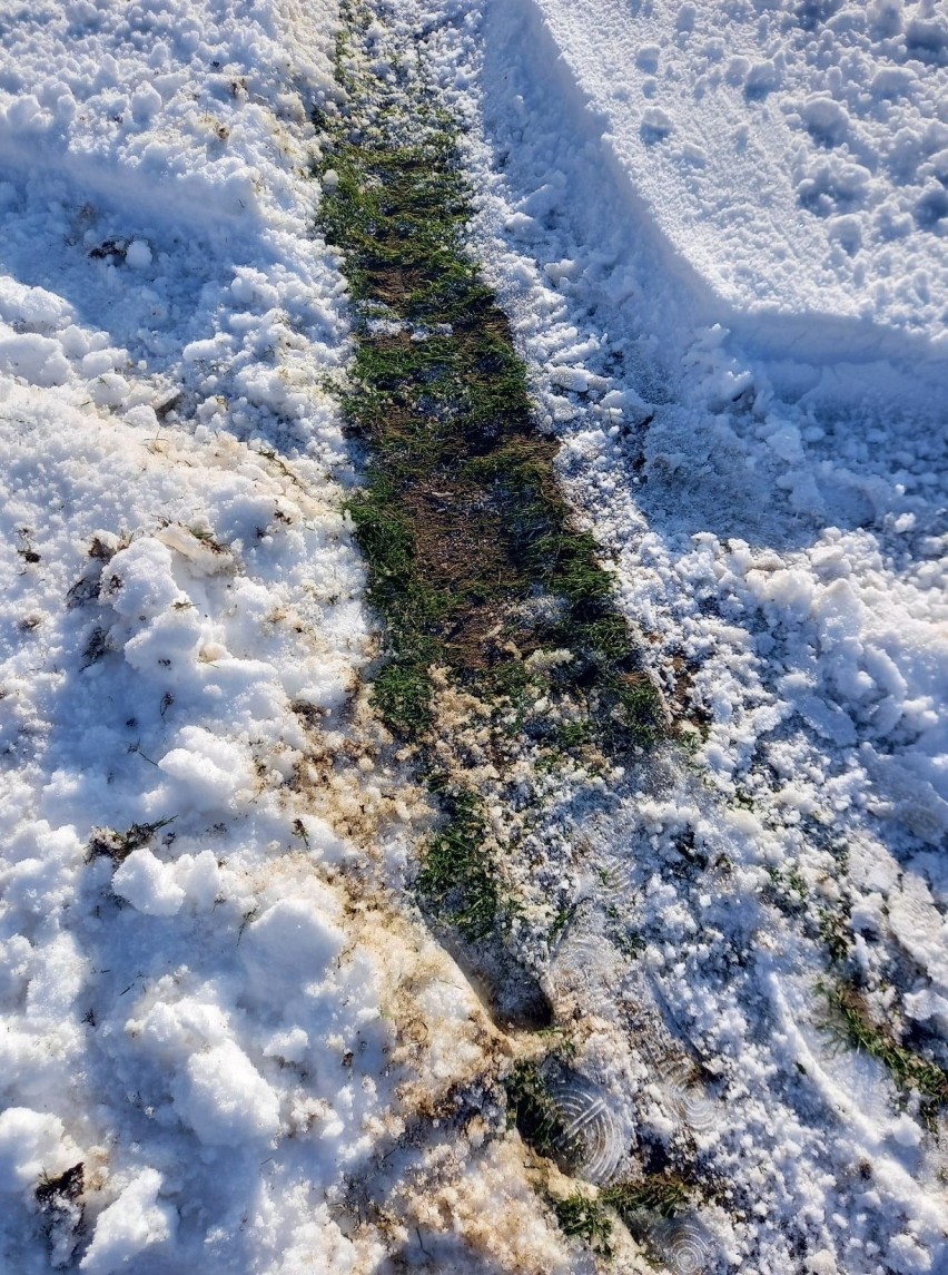 Miłoradz. Stadion gminny jak tor rajdowy. Ćwiczyli drifting? Zniszczyli boisko