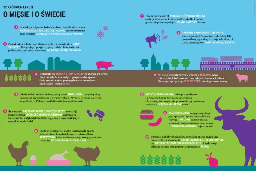 12 krótkich lekcji o mięsie i o świecie