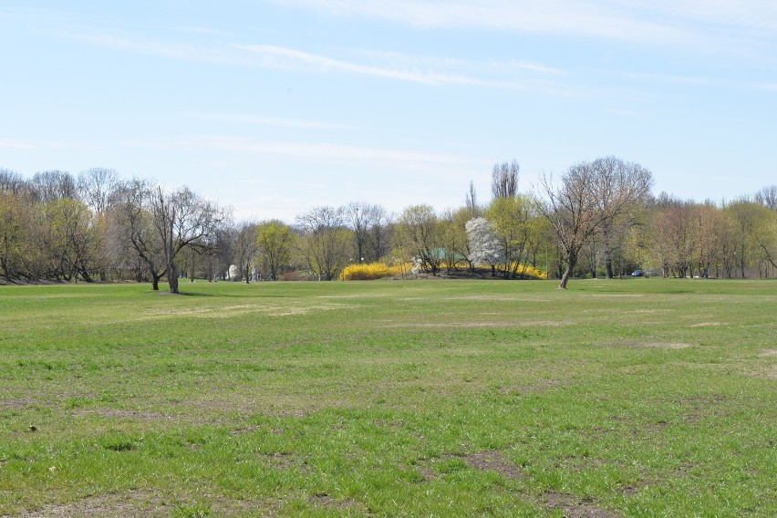 Parki w Warszawie zostaną zrewitalizowane. Wszystko za kwotę...