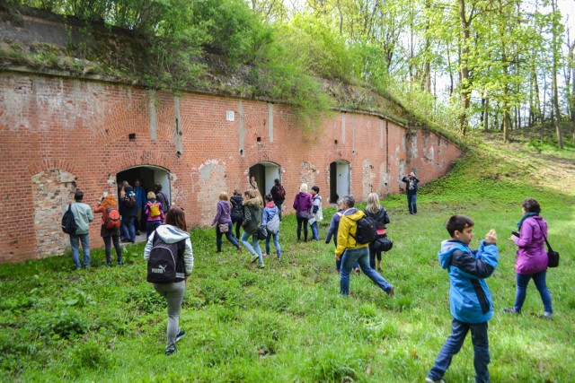 28. GSF. Spacerowicze fotografowali piękne zakątki Gminy Grudziądz [wideo, zdjęcia]