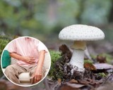 Te objawy mogą świadczyć o zatruciu grzybami. Nie lekceważ tych symptomów – wezwij pomoc, bo może ucierpieć Twoje życie lub zdrowie