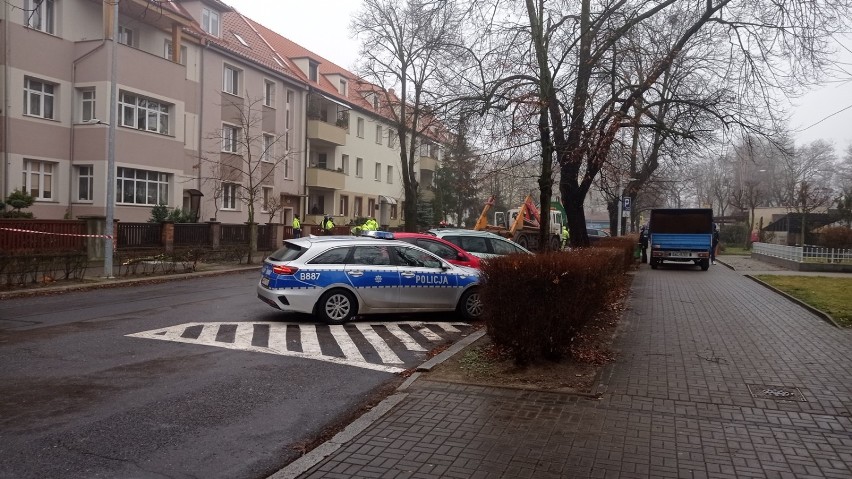 Drzewo spadło na auto w Głogowie
