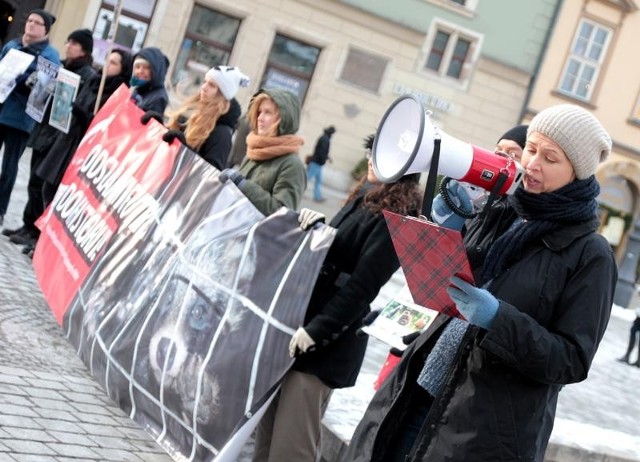 Demonstracja przeciwników futer w Krakowie.