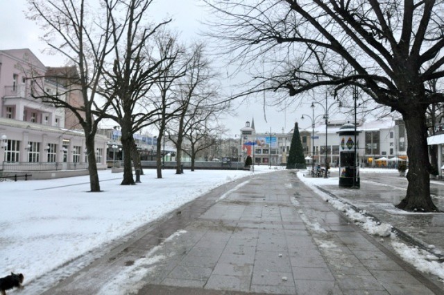 Kilka stopni poniżej zera i śnieg w nocy spowodowały, że w ...