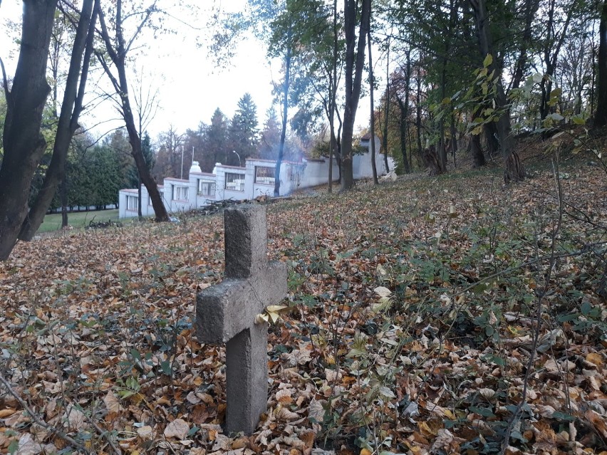 Obecny wygląd cmentarza wojennego przy ul. Przemysława w...