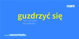 Gwara gnieźnieńska - czy na co dzień używasz tych słów?