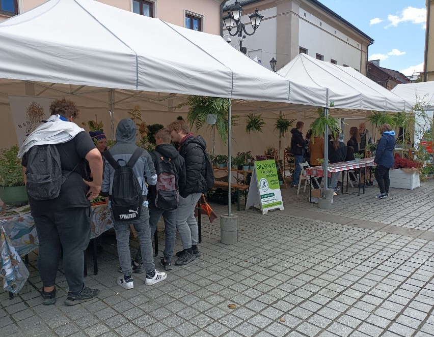 Żywiecki Rynek. Akcja wymiany roślin z Miejskim Centrum Ekologicznym