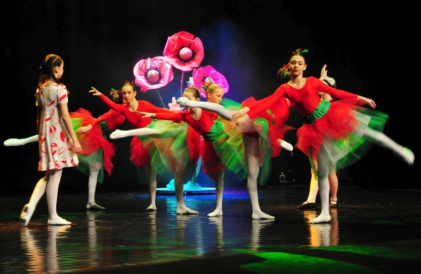 Baletowe widowisko na scenie RCKP w Krośnie. W spektaklu "Jaś i Małgosia" zatańczyło ponad 80 młodych tancerek [ZDJĘCIA]