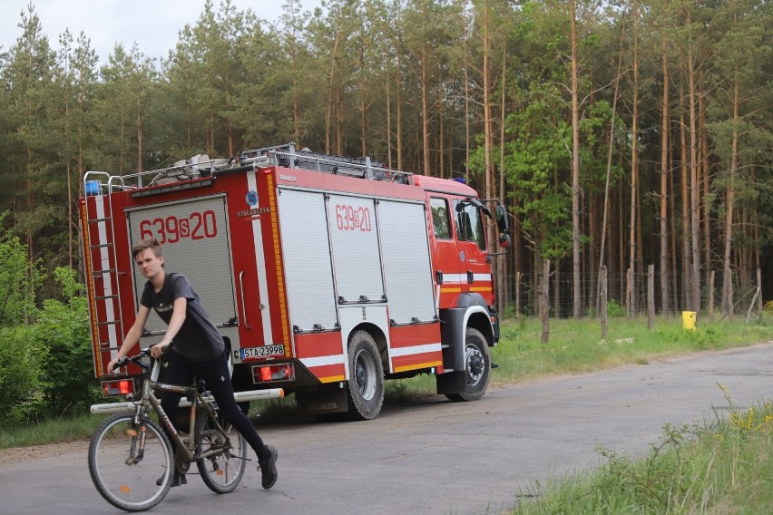 Pożar ponad 40 hektarów lasów w powiecie tarnogórskim! Zobacz ZDJĘCIA. Trwa akcja dogaszania trudnego terenu