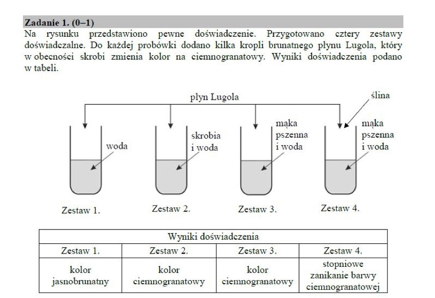 Egzamin gimnazjalny 2019. Część przyrodnicza ARKUSZ CKE I ODPOWIEDZI. Testy gimnazjalne: biologia, chemia, fizyka, geografia 11.04.2019