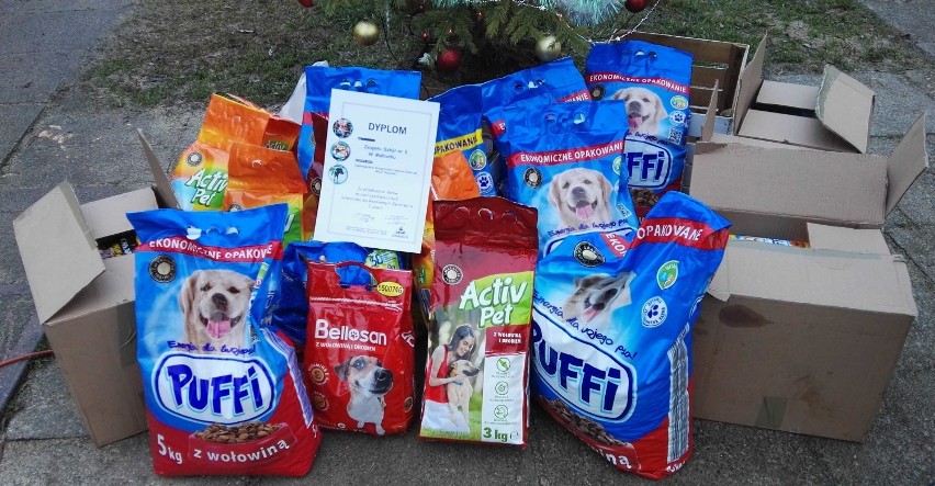 Uczniowie malborskiej "dwójki" zebrali 112 kg karmy dla psów ze schroniska