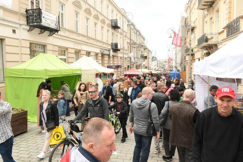 Tłumy podczas Budzenia Sienkiewki w niedzielę, 29 maja. Zobacz zdjęcia