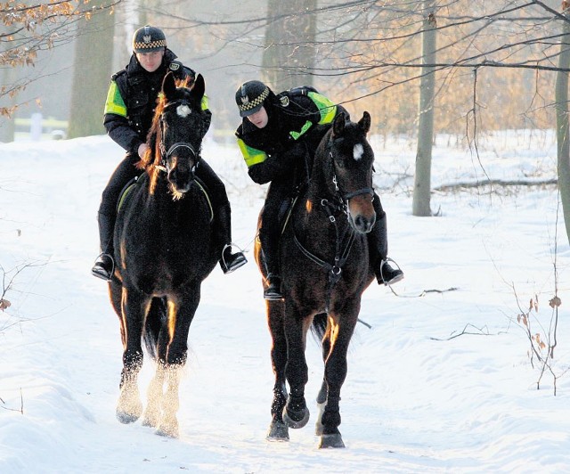 W 2010 roku straż miejska wzbogaciła się o dwa konie