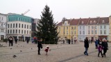 Pogoda Bydgoszcz: niedziela, 24 grudnia. Wigilia 