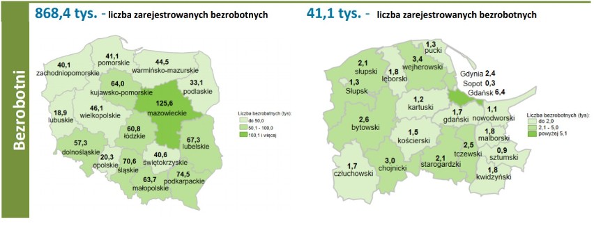 Powiat malborski. WUP za najbardziej deficytowe zawody w naszym podregionie uznaje pracownika socjalnego, psychologa, montera i mechanika