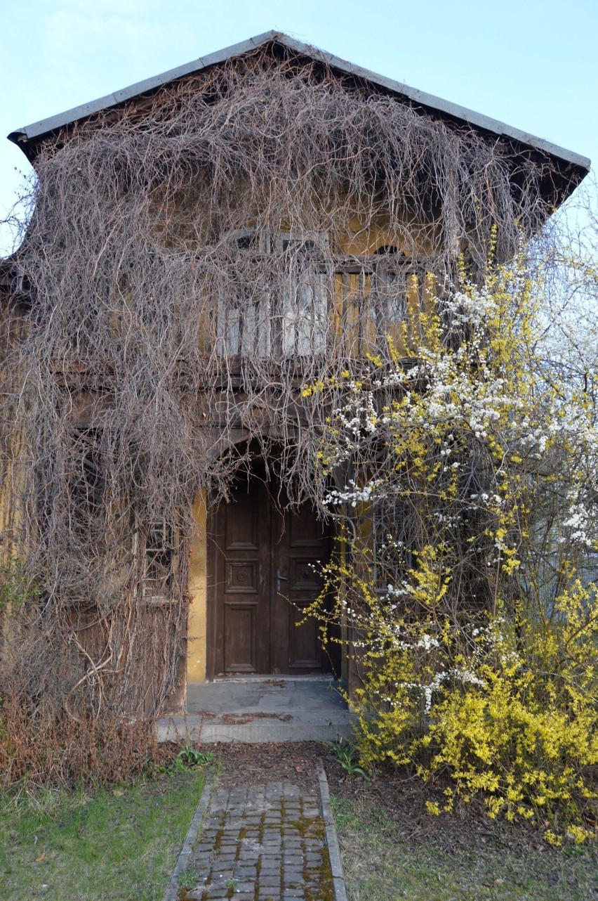 Dom, w którym Joanna Żubrowa spędziła ostatnie lata życia