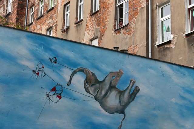 Sztukę można znaleźć nie tylko w galeriach i na aukcjach. Wrocław jest pełen pięknych murali. Czy znacie je wszystkie? Zajrzyjcie do galerii zdjęć, by poznać najpiękniejsze murale Wrocławia.

Przesuwaj slajdy klikając na strzałki, używaj klawiatury lub gestów.
