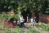 Sprzątanie cmentarza żydowskiego w Tomaszowie: Zapraszają chętnych do pomocy [ZDJĘCIA]