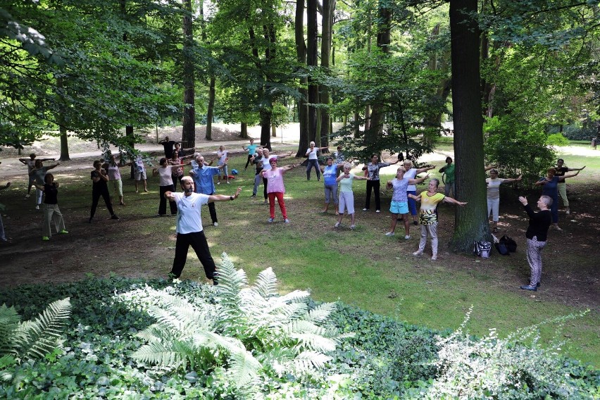 Za nami kolejne zajęcia tai chi i qigong dla seniorów w...