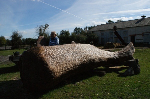 Park Chopina w Koninie wzbogaci się o wieloryba