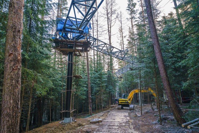 Koszt ścieżki w koronach drzew w Starym Sączu to 6 mln zł. Ma być gotowa do lipca tego roku