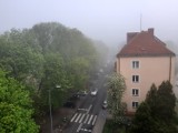 Gęsta mgła w Szczecinie. Mocno ograniczona widoczność