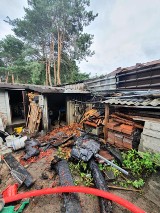 Ponad 20 interwencji strażaków w powiecie tomaszowskim. Na ul. Witosa palił się budynek gospodarczy