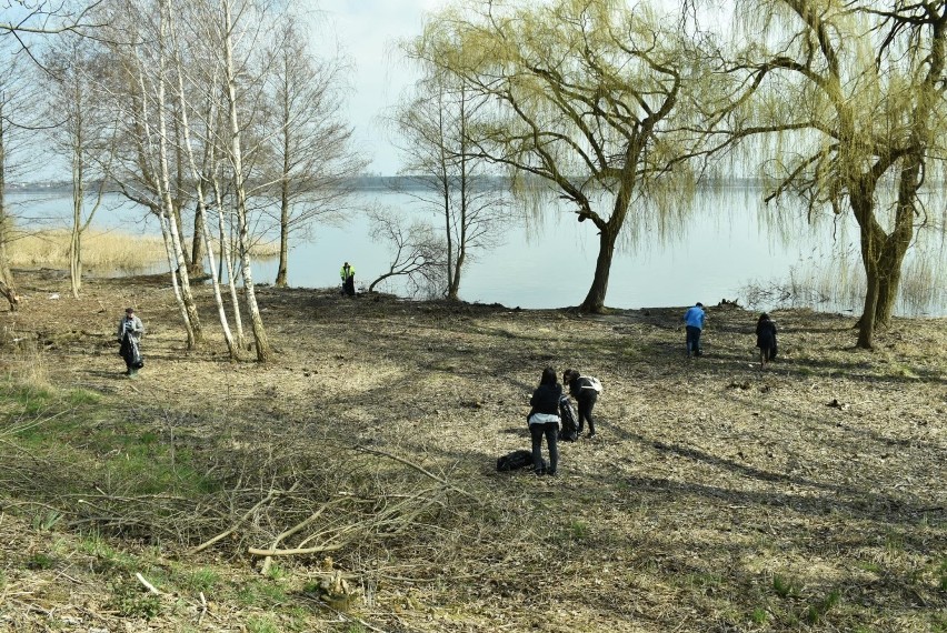 Fotorelacja z akcji sprzątania brzegów Jeziora Dużego...