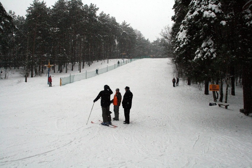 Górka Tatrzańska w Zielonej Górze - styczeń 2010