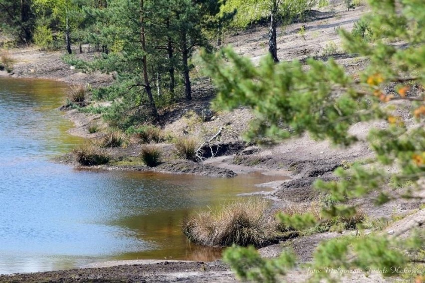 Geopark Łuk Mużakowa. Łuku Mużakowa charakteryzują liczne...