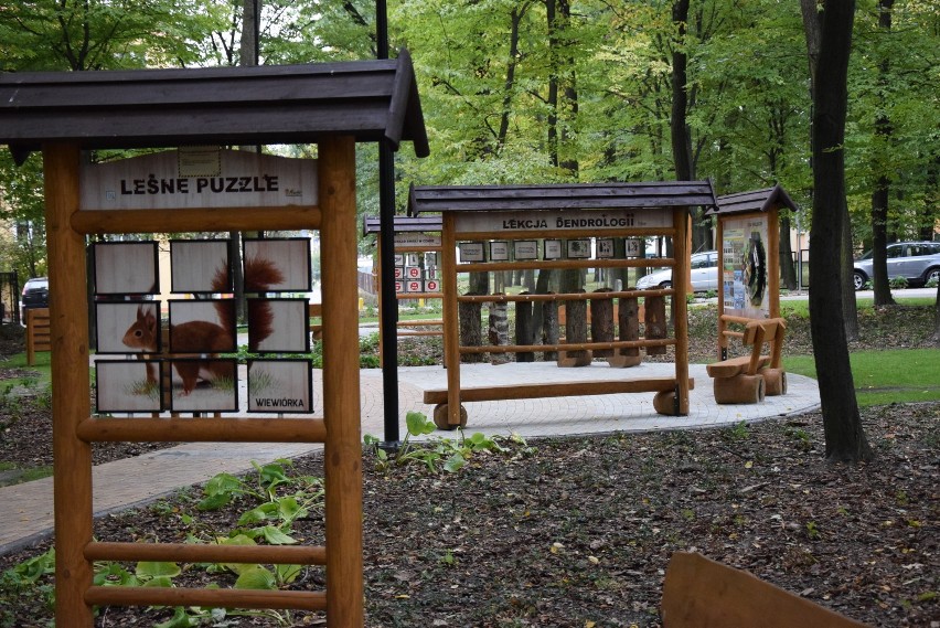 Przedszkolaki i uczniowie z Kraśnika wzięli udział w oficjalnym otwarciu Parku Leśnego (ZDJĘCIA/WIDEO)