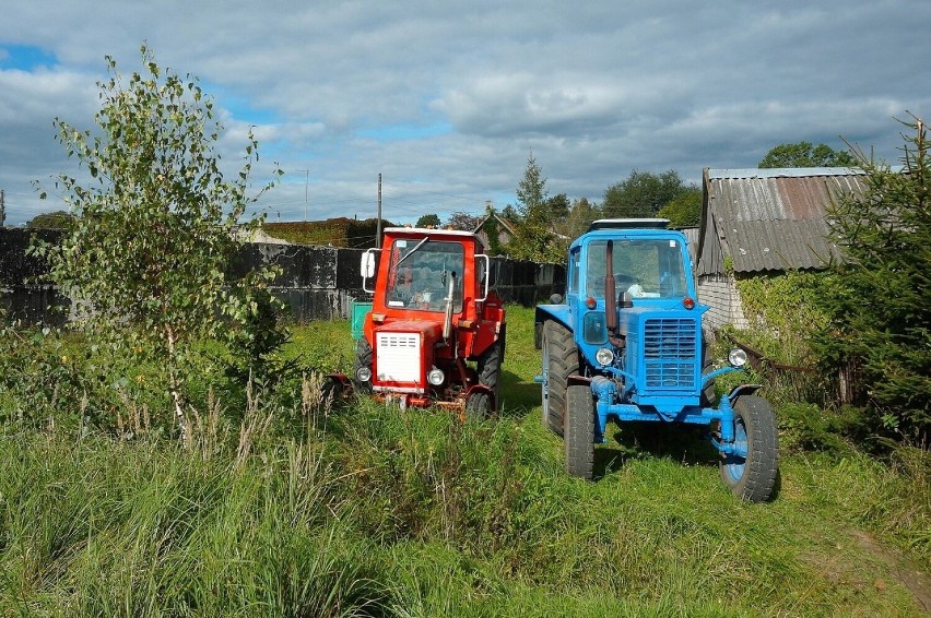 Produkty prosto od rolników w Szczecinie i regionie. Jakie...