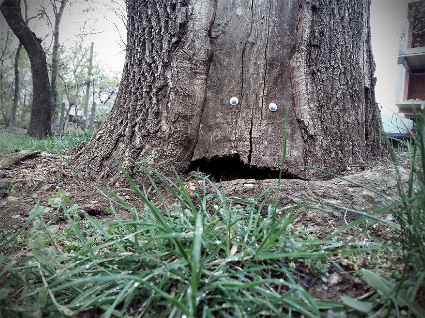 Doklejają oczy do martwych przedmiotów. Rezultaty są...