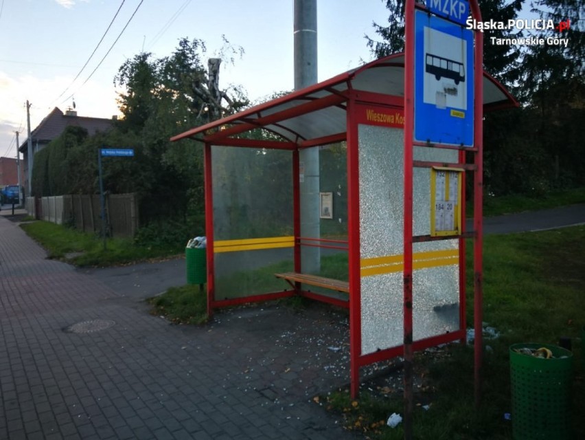 Kto zniszczył przystanki autobusowe w gm. Zbrosławice? Wyznaczono nagrodę!