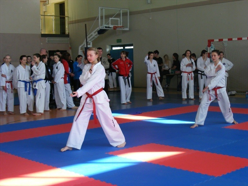 Dragon Janów podczas Pucharu Polski w Teakwondo wywalczył worek medali [ZDJĘCIA]