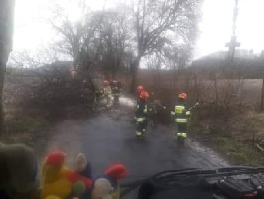 Strażacy w powiecie bytowskim usuwają skutki wczorajszej wichury (zdjęcia)