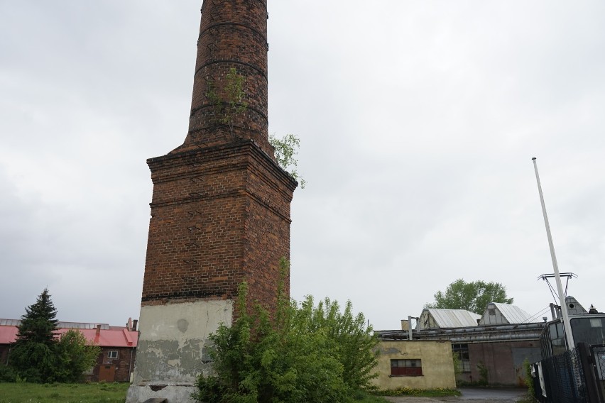 Zapomniany skarb w centrum Rzeszowa. Stara parowozownia i okolica czaruje i zaskakuje. Zobaczcie zdjęcia