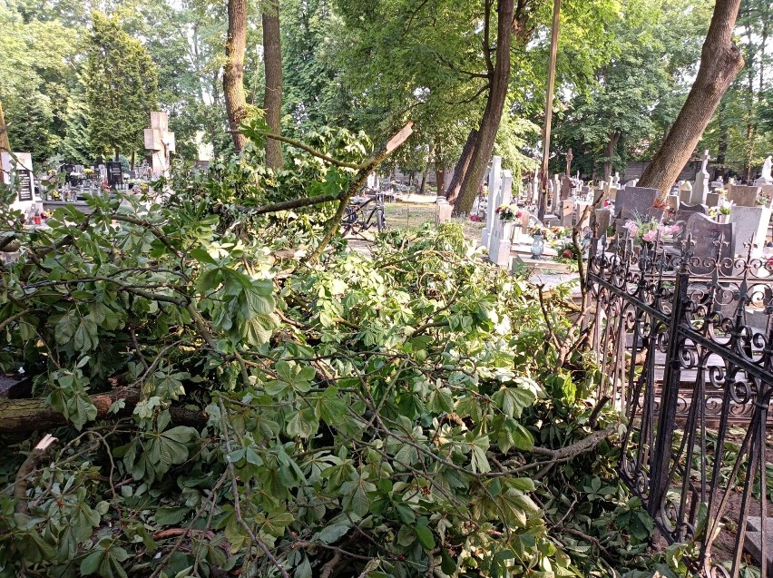 Złamane drzewo uszkodziło pomniki na cmentarzu na Antczaka w...
