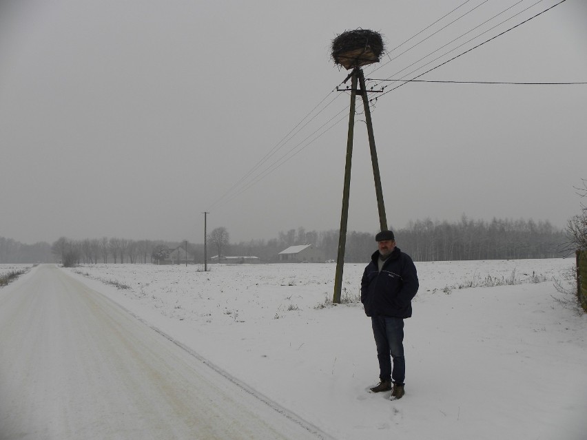 Bocian od 12 lat zimuje w Józefowie