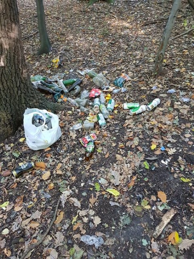 OWN Jastrzębie-Zdrój: pełno śmieci w lasku wokół.