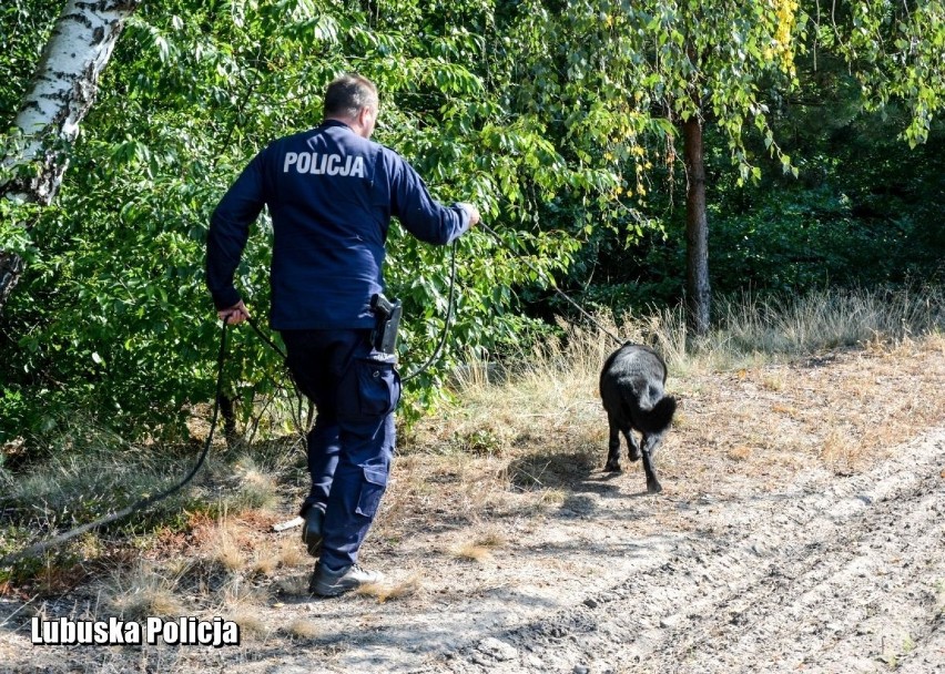 Krośnieńscy policjanci zatrzymali trzech mężczyzn,...