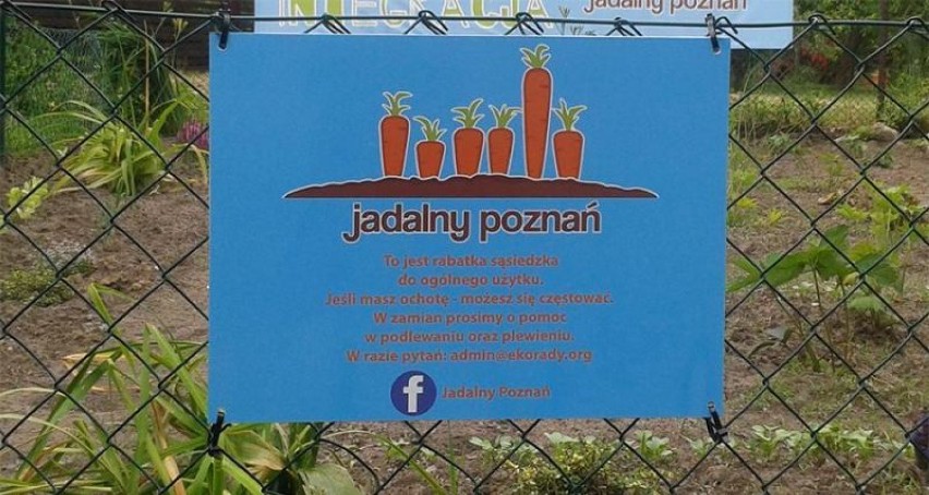 Jadalny Poznań: Nowy ogród społeczny na Sołaczu