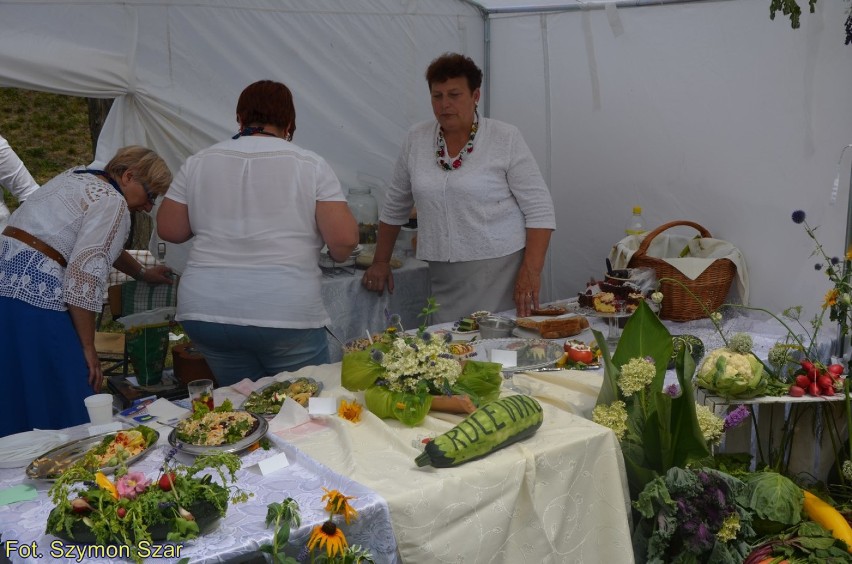 Kujawskie Nowalijki 2015. Zobacz co działo się w Kruszwicy [zdjęcia i wideo]