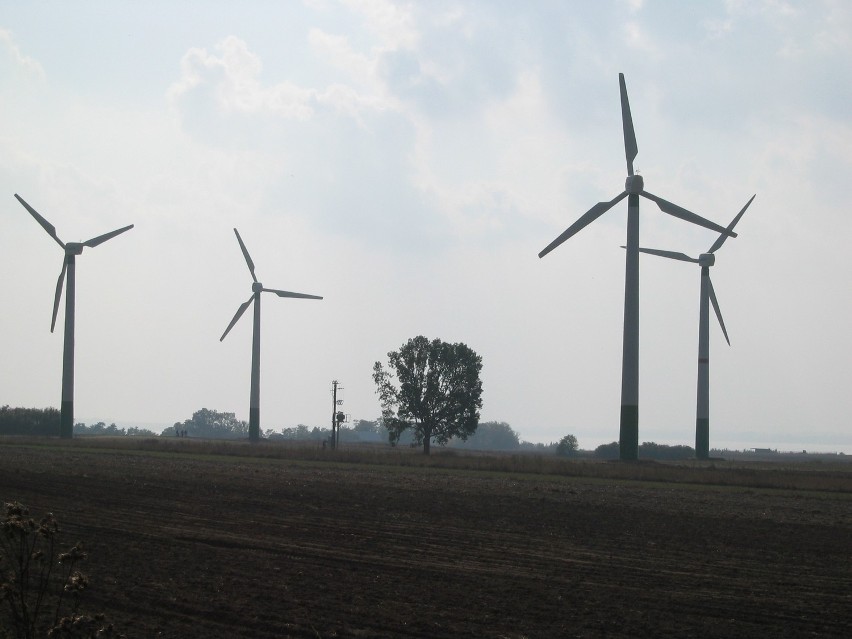 Referendum w sprawie budowy farm wiatrowych w gminie Mokrsko...