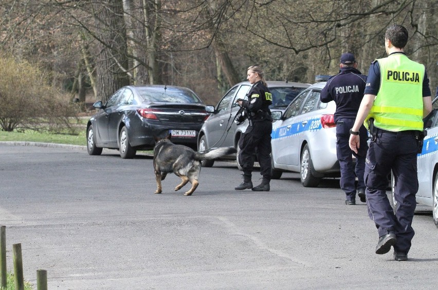 Akcja policji w Parku Szczytnickim we Wrocławiu. Szukają podejrzanego mężczyzny [ZDJĘCIA]